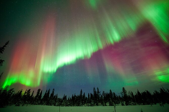 Private Group: Northern Lights Hunt 4x4 SUV with Aurora guarantee - Price and value: what $324.41 per person actually buys