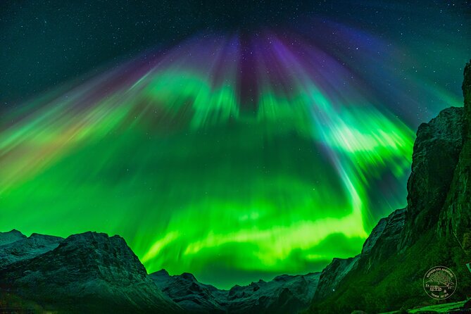 Private Northern Lights Chase with Photography from Tromsø - Pickup to Aurora Spot: How the 6–9 Hours Usually Feel