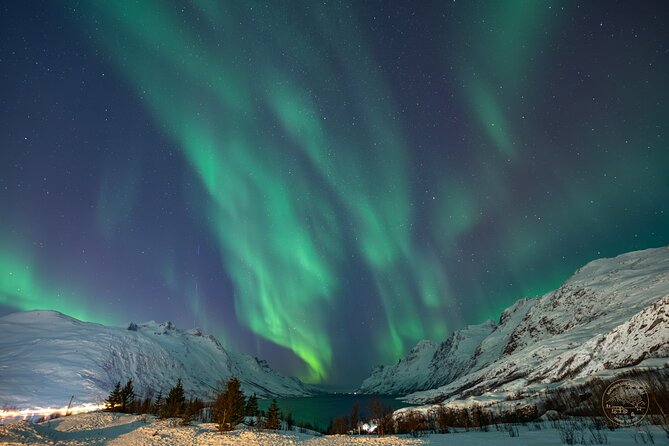Private Northern Lights Chase with Photography from Tromsø - Aurora Forecasting You Can Understand (Not Just Hear)