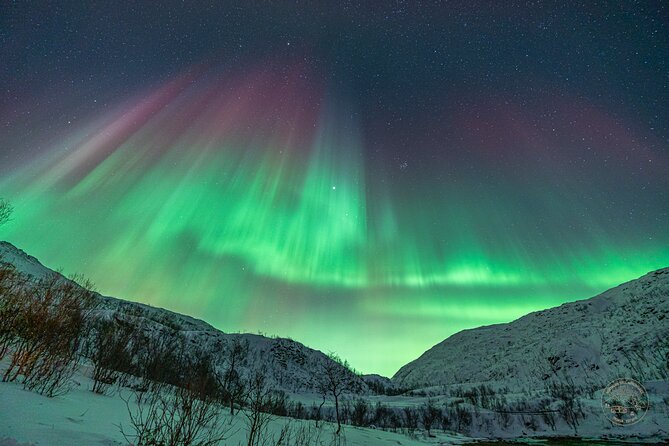 Private Northern Lights Chase with Photography from Tromsø - Who This Tour Fits Best (And Who Should Skip It)