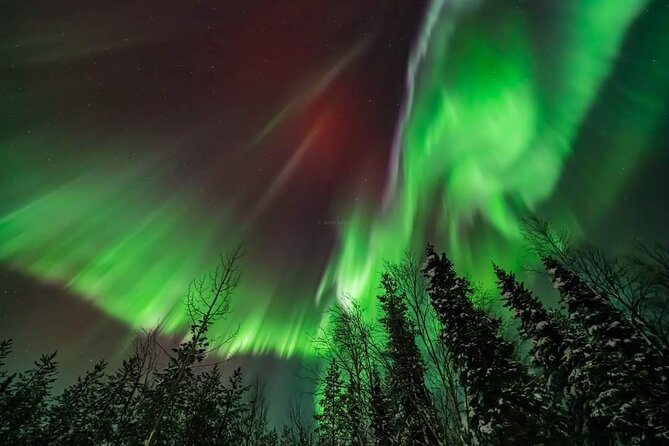 Private Northern Lights Hunting Tour Rovaniemi - The Cold Reality: No Cabin, No Tents, No Washroom