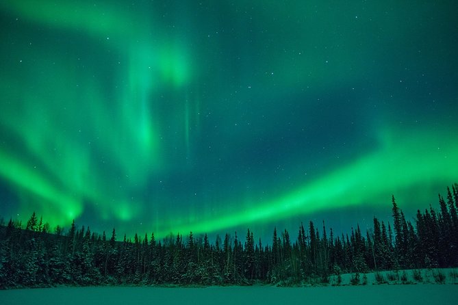 Private Northern Lights Hunting Tour Rovaniemi - The 9:00 PM Departure: Why This Timing Matters