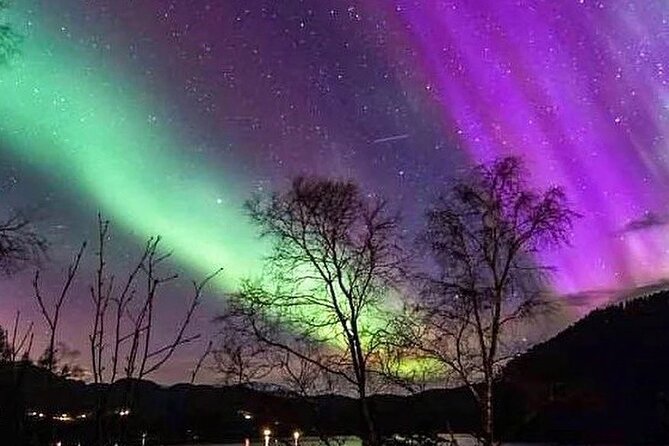 Private Northern Lights Tour from Reykjavik - Private Northern Lights Tour from Reykjavik: the 3-hour reality check