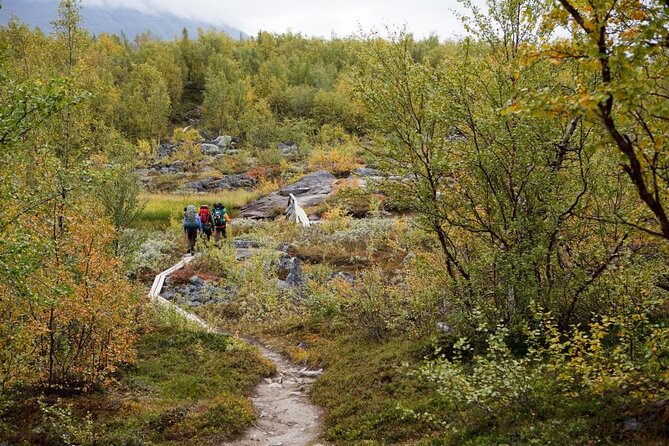 Private Northern Lights Tour With Skis Or Snowshoes in Pyhä - Key highlights before you go