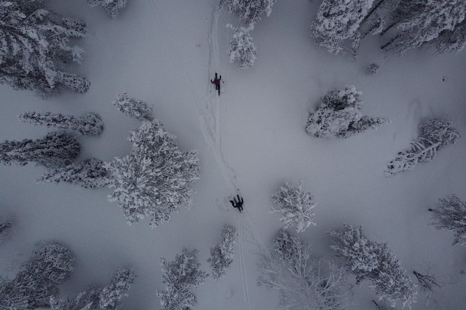 Private Northern Lights Tour With Skis Or Snowshoes in Pyhä - Why Pyhä at 8 pm hits differently
