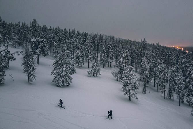 Private Northern Lights Tour With Skis Or Snowshoes in Pyhä - Stop by stop: what each part of the night gives you