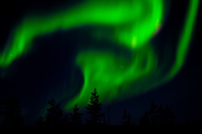 Private Northern Lights Tour With Skis Or Snowshoes in Pyhä - What the guide really does for you (and why it matters)