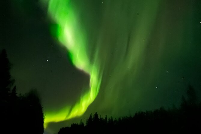 PRO Northern Lights Experience in Rovaniemi - Who This Tour Fits Best (and Who Might Prefer Something Else)