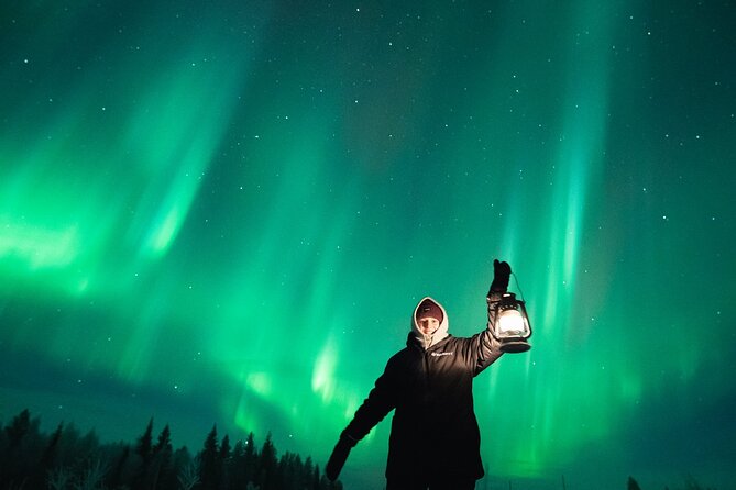 Pyhä-Luosto Northern Lights Adventure with Aurora Viewing - Why This Pyhä–Luosto Aurora Trip Feels Like a Real Aurora Hunt