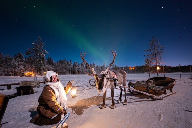 Ranua Lupland Aurora Activity Park – After Dark Adventure - Key Highlights You’ll Care About
