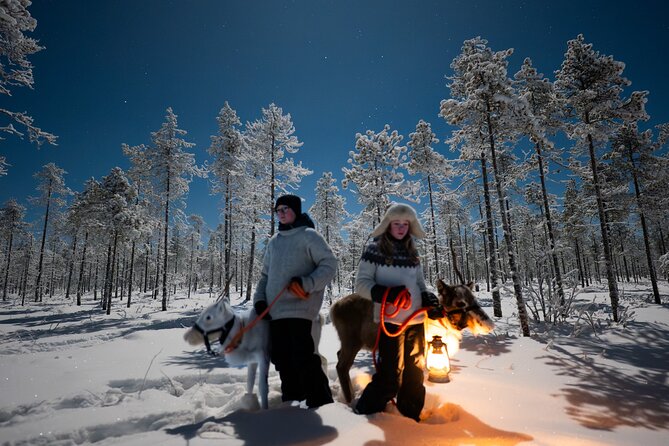 Ranua Lupland Aurora Activity Park – After Dark Adventure - A 7:00 pm Aurora Plan That Doesn’t Feel Like Waiting in Place
