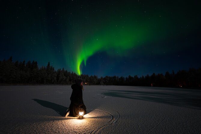 Ranua Lupland Aurora Activity Park – After Dark Adventure - Value for the Price: Why It Feels Worth It (Even If You Skip Aurora)