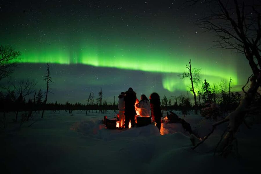 Ranua: Northern Lights tour with Campfire Meal & Pro Camera - Key points worth knowing