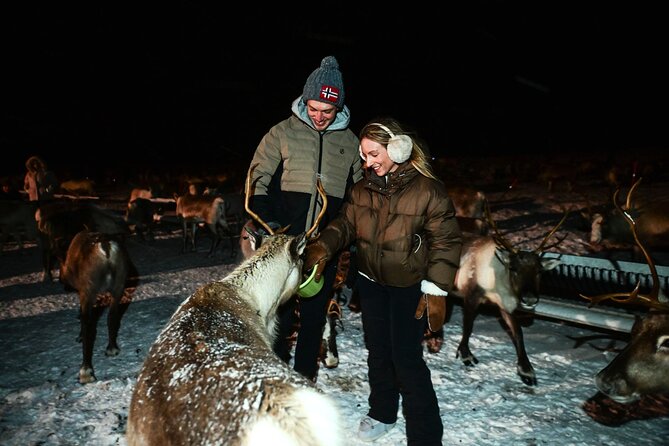 Reindeer Camp Dinner with Chance of Northern Lights in Tromso - Group size, warmth, and reindeer behavior: practical comfort tips