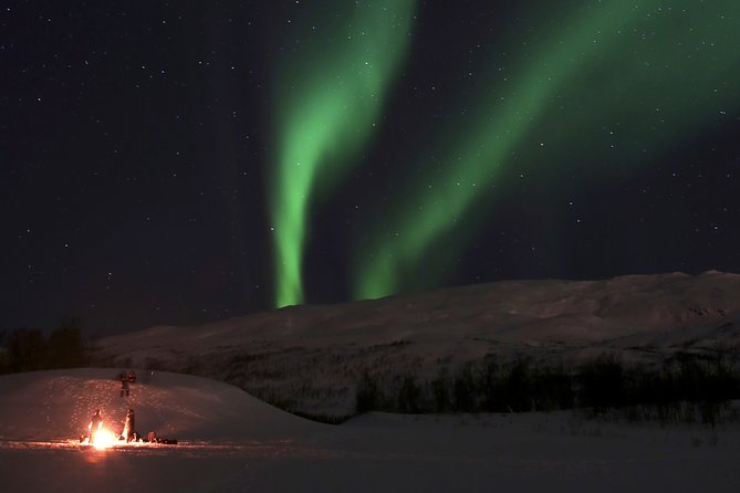 Reindeer feeding & Saami Culture with chance for Northern Lights - The Lavvu Warm-Up: Hot Drinks, Hot Food, and a Safer Pause