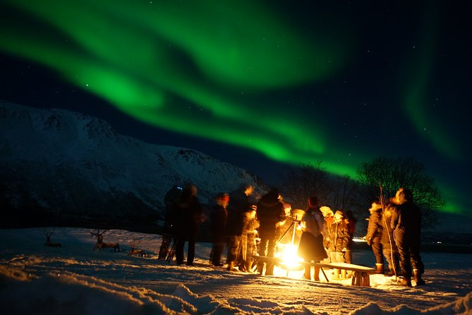 Reindeer feeding & Saami Culture with chance for Northern Lights - Tromsø Pickup at 6:00 pm: Plan for Cold, Not Just Traffic