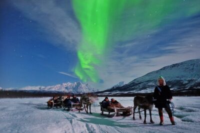 Reindeer Sledding and Feeding with Chance of Northern Lights Tromso - The lavvu meal: Sami stew, hot drinks, and stories with context