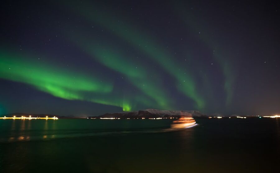 Reykjavik: 2-Hour Northern Lights by Boat with Backup Plan - The cloud plan: Whales of Iceland Exhibition as a true backup, not a consolation prize