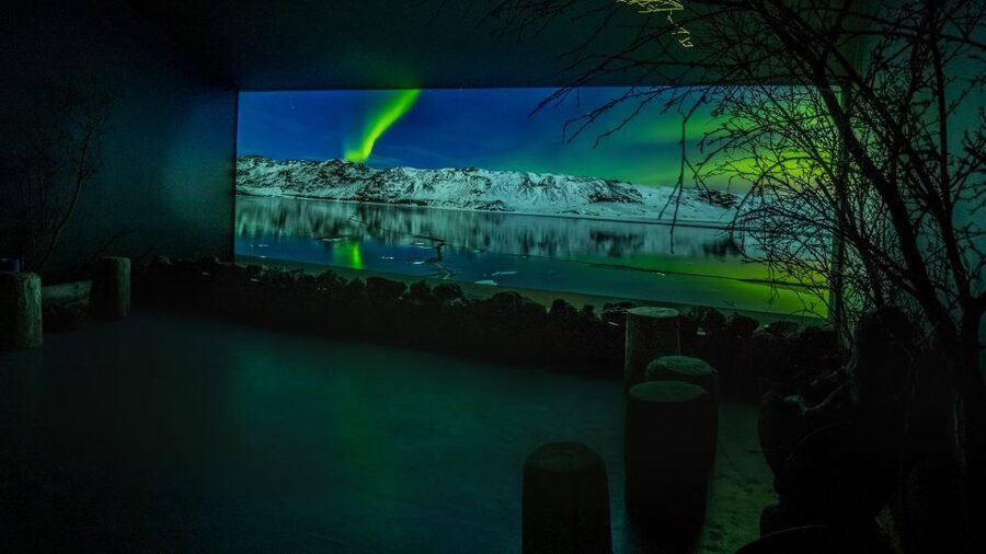 Reykjavik: Aurora Reykjavik The Northern Lights Center Entry - Key things to know before you go