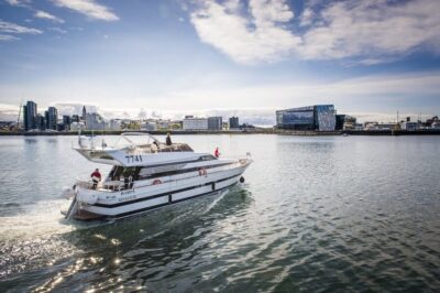 Reykjavík: New Year's Eve Northern Lights Yacht Cruise - How the 1.5 Hours Work On the Water