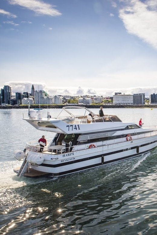Reykjavík: New Year's Eve Northern Lights Yacht Cruise - Who This Cruise Suits Best (And Who Should Skip It)