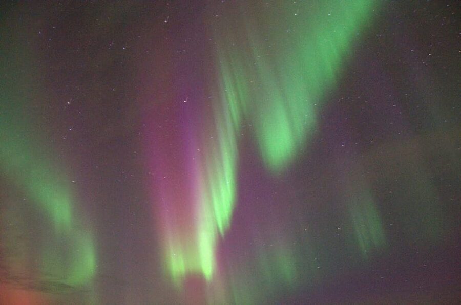 Reykjavík: New Year's Eve Northern Lights Yacht Cruise - The Crew Factor: What the Reviews Tell You About the Onboard Experience