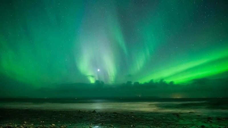 Reykjavik: Northern Lights Adventure Tour with Hot Chocolate - Reykjavik Aurora Search: What a 3.5-Hour Tour Really Gives You