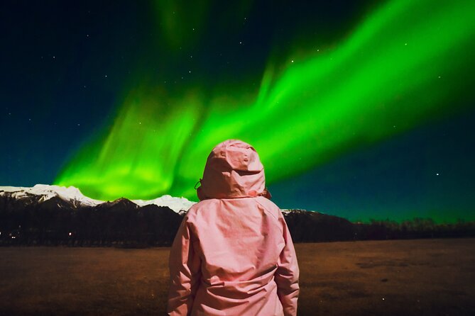 Reykjavik: Northern Lights Comfort Coach with Surprise - A comfort coach that actually helps you hunt longer