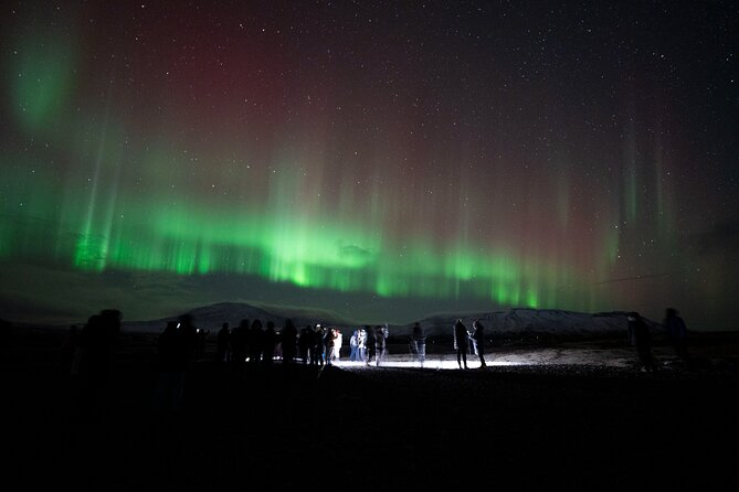 Reykjavik: Northern Lights Comfort Coach with Surprise - Group Size Reality: 57 People on a Big Coach