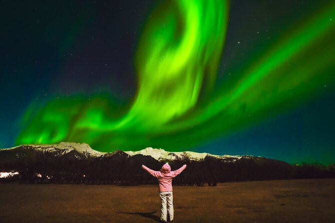 Reykjavik: Northern Lights Comfort Coach with Surprise - What I’d Do to Prepare (So You Get More From the Night)