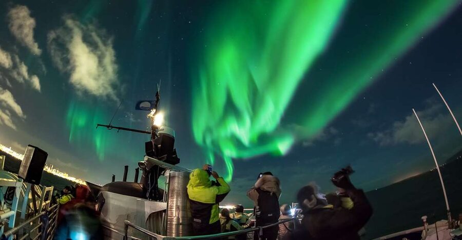 Reykjavik: Northern Lights Guided Boat Tour - Key things I’d focus on before you book