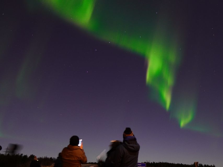 Reykjavik: Northern Lights Tour w/Pro Photos - Small Group - Who this Northern Lights tour suits best