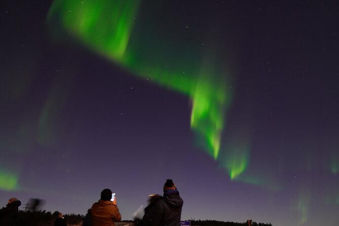 Reykjavik Northern Lights Tour with Pro Aurora Photos Small Group - Snacks, hot cocoa, and the cold reality check