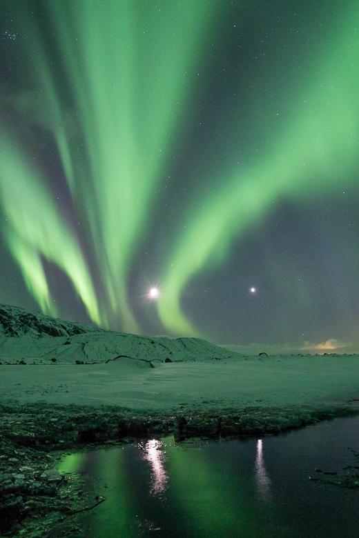 Reykjavik: Northern Lights with Icelandic Treats - Key points worth knowing