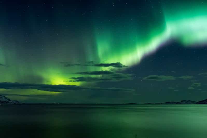 Reykjavik: Northern Lights with Icelandic Treats - The minibus ride: why it’s part of the experience