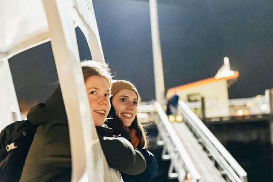 Reykjavik: Northern Lights Yacht Tour - Bonus Moments: Whales, Shooting Stars, and Clear-Sky Wins