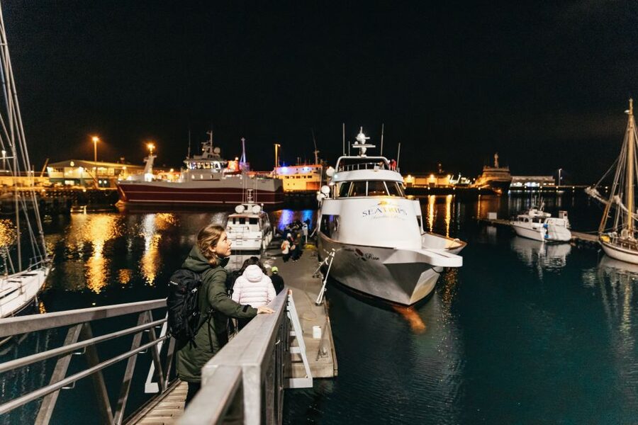 Reykjavik: Northern Lights Yacht Tour - Your Guide Matters: What Maria, Torry, Julian, and Brianta Bring