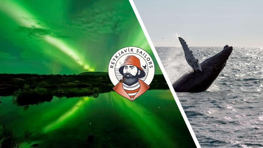 Reykjavik: Whale Watching & Northern Lights Combo Cruise - Whale watching in Faxaflói Bay: what you’re really hunting for