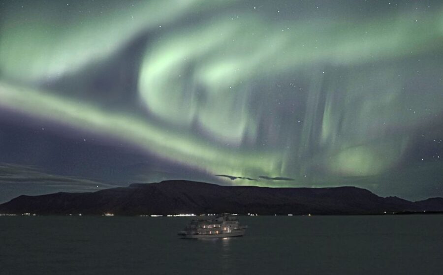 Reykjavik: Whales and Northern Lights Boat Tour - Price and value: what $212 buys you in Reykjavik