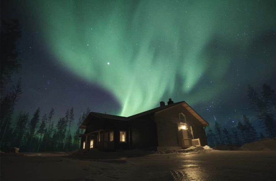 Rovaniemi: 2km Aurora Reindeer Safari Through the Forest - Reindeer Sled Ride Through a Silent Winter Forest