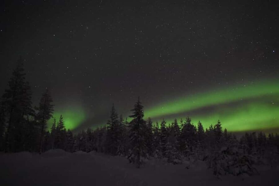 Rovaniemi: 2km Aurora Reindeer Safari Through the Forest - What “Aurora Hunting With Reindeer” Really Means