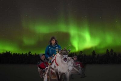 Rovaniemi: 2km Aurora Reindeer Safari Through the Forest - Pickup and Van Transfer: Two Easy Starting Points