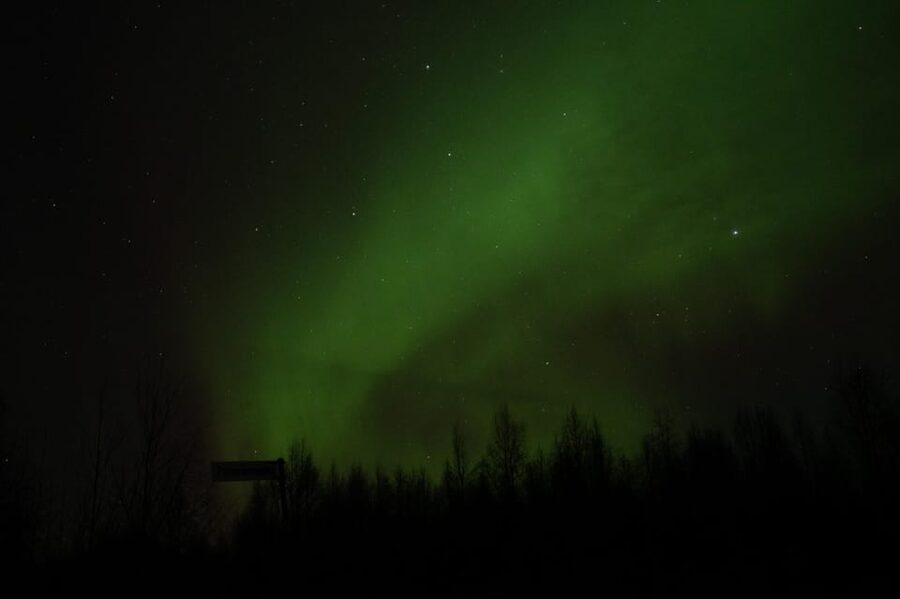Rovaniemi: 97.3% Success Rate Aurora Group Tour with Photos - Key takeaways before you go