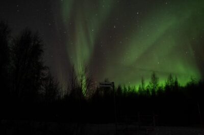 Rovaniemi: 97.3% Success Rate Aurora Group Tour with Photos - Why This Aurora Chase Works Better Than a Random Night Out