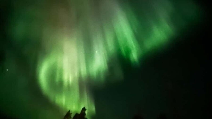 Rovaniemi: All-Inclusive Ranua Zoo Excursion & Aurora Dinner - One Thing to Keep in Mind