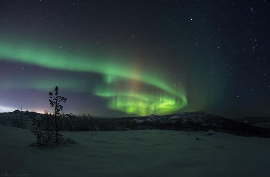 Rovaniemi: All-Inclusive Ranua Zoo Excursion & Aurora Dinner - From Rovaniemi to Ranua Zoo: Why the Timing Works