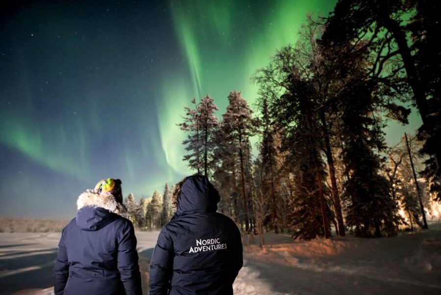 Rovaniemi: Arctic Ice Floating and Northern Lights Tour - What You Do After the Lake: Open Fire, Cookies, and a Cozy Cottage