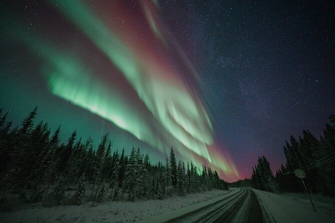 Rovaniemi: Aurora Activity Guarantee - 97% Success Rate Tour - Key highlights I’d plan around