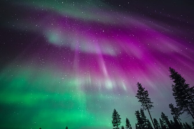 Rovaniemi: Aurora Activity Guarantee - 97% Success Rate Tour - The Itinerary: From Rovaniemi to Lapland Sweden and Back
