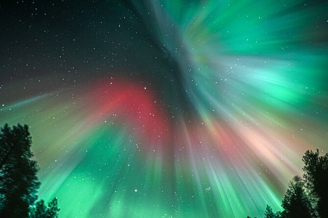 Rovaniemi: Aurora Activity Guarantee - 97% Success Rate Tour - Group Size and Vehicles: What Your Comfort Level Can Expect